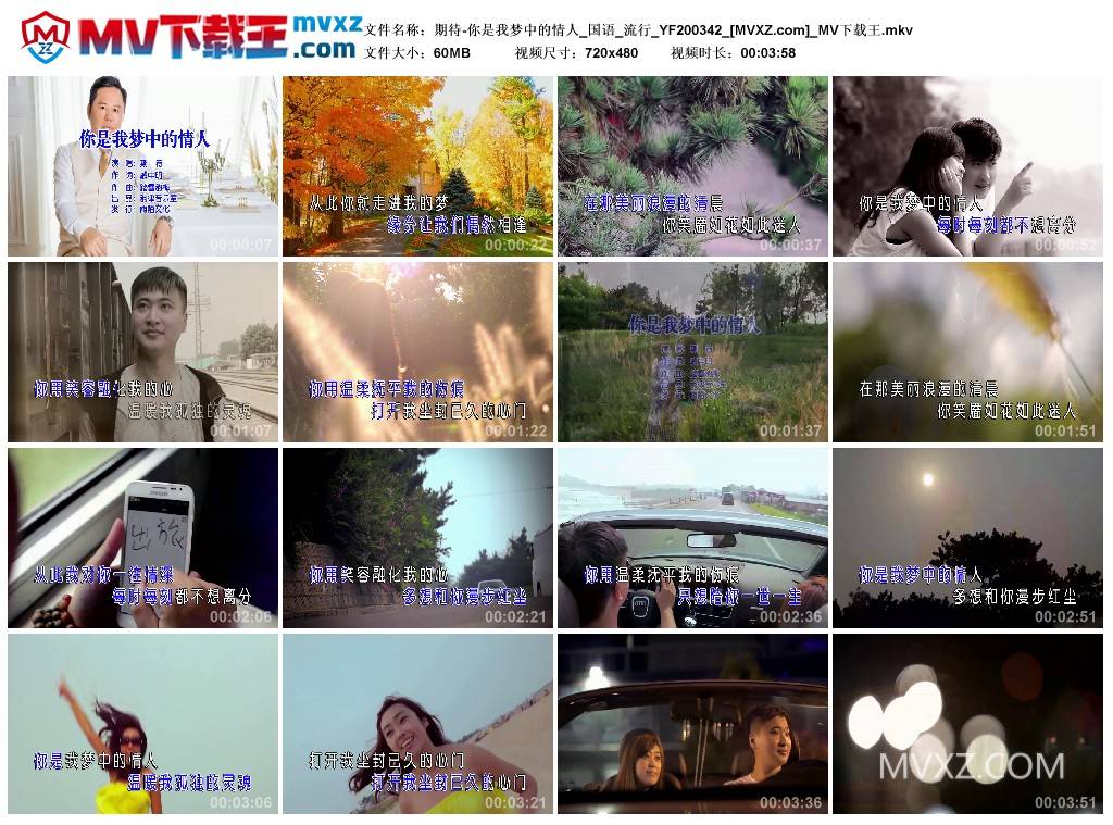 期待-你是我梦中的情人_国语_流行_YF200342